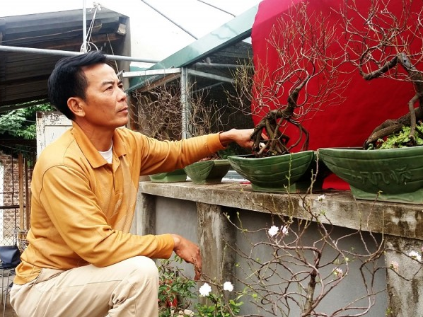 Xu thế mới trong chơi cây ngày Tết