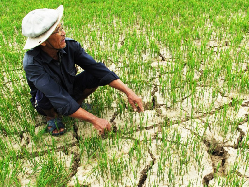 Xóa bỏ lực cản liên kết vùng