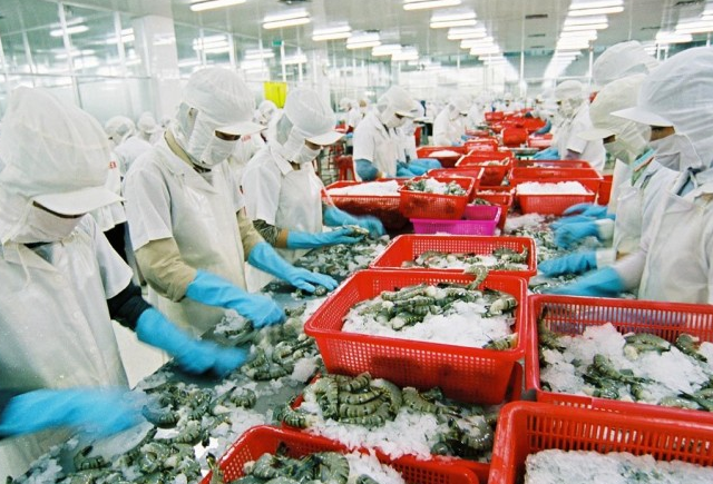 Hỗ trợ doanh nghiệp Ai Cập xin visa vào Việt Nam tìm đối tác