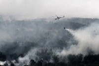 Cuộc chiến chống biến đổi khí hậu