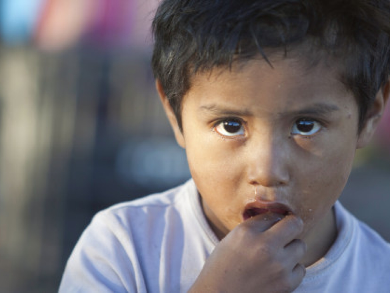 Đầu cơ lương thực đe dọa toàn cầu