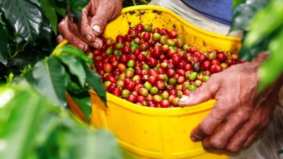 Doanh nghiệp Việt Nam tìm kiếm cơ hội kinh doanh tại Algeria