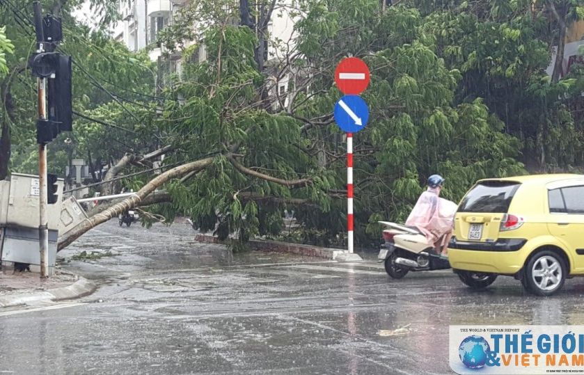 Công điện của Thủ tướng Chính phủ tập trung khắc phục hậu quả bão số 1
