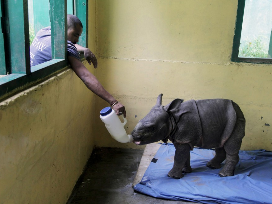 Những bức ảnh ấn tượng tuần qua (23/7-29/7)