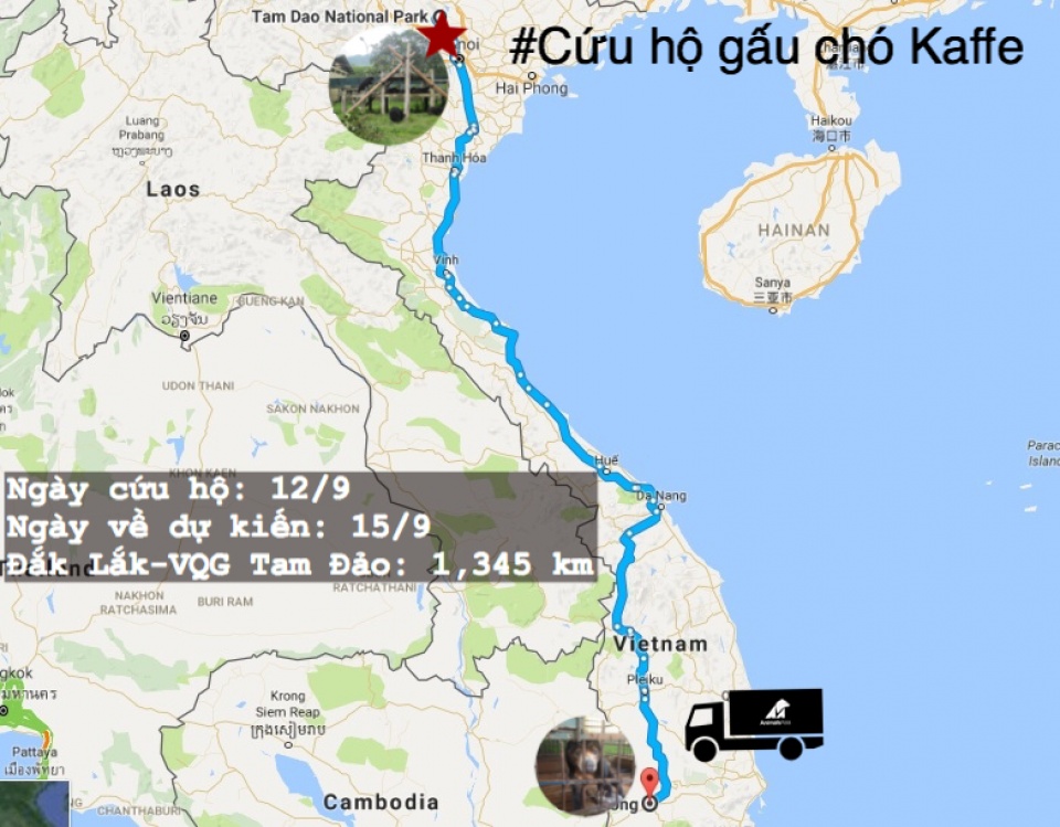Cứu hộ 3 cá thể động vật quý hiếm tại Đắk Lắk cuu ho 3 ca the dong vat quy hiem tai dak lak