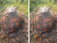 tim thay khoi da la xu xi ngu dan co kha nang trung lon 76 ty dong