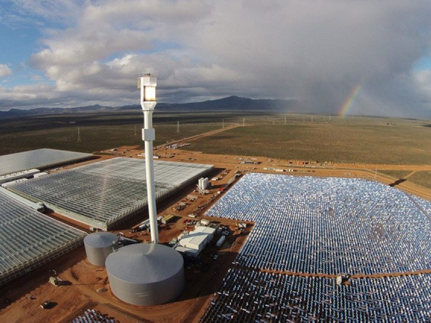 Trồng rau trên sa mạc chỉ với ánh nắng mặt trời và nước biển