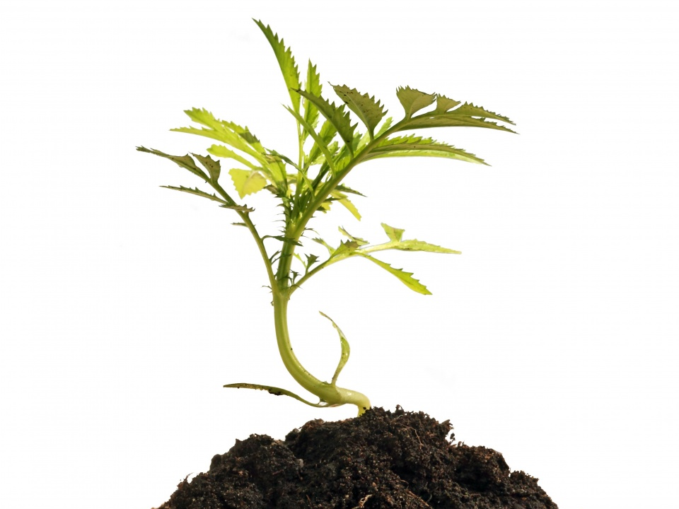 “Khó” như luật Hỗ trợ doanh nghiệp vừa và nhỏ