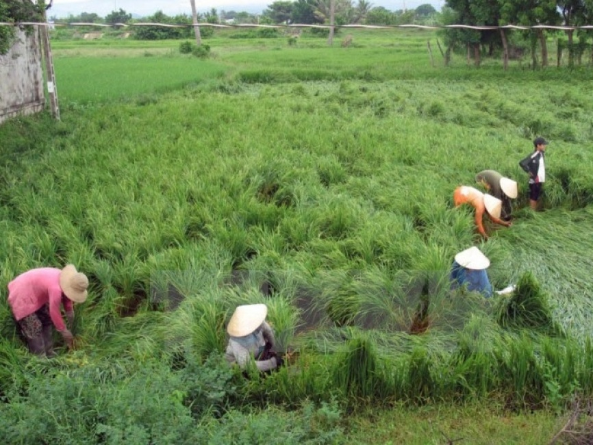 Đông Bắc Bộ thời tiết ẩm ướt, mưa rải rác trên hầu khắp cả nước
