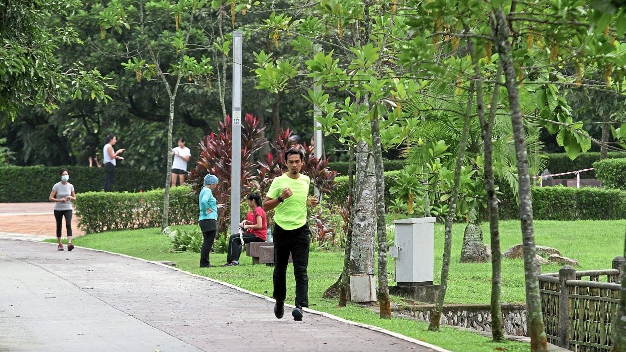 Không gian trị liệu của người Malaysia trong đại dịch Covid-19