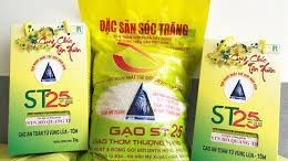 Gạo ST25 và bài học xây dựng, bảo vệ thương hiệu