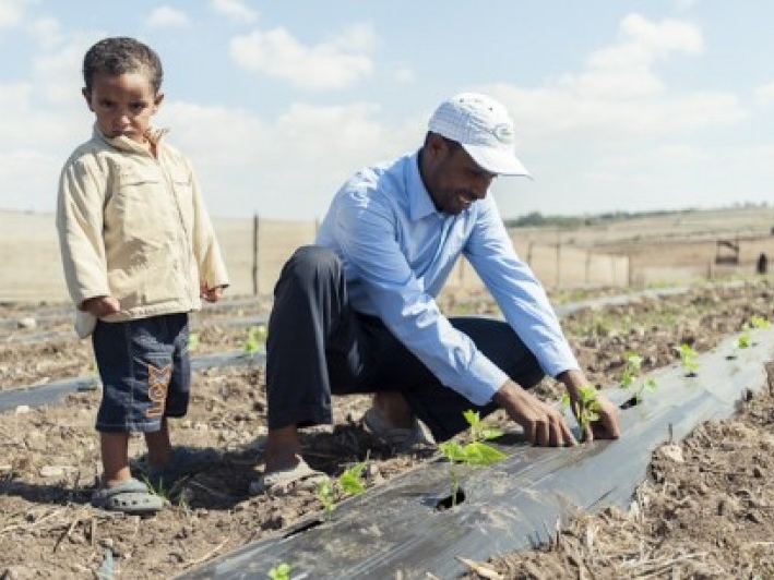 Nước - nguồn gốc của chiến tranh và hòa bình