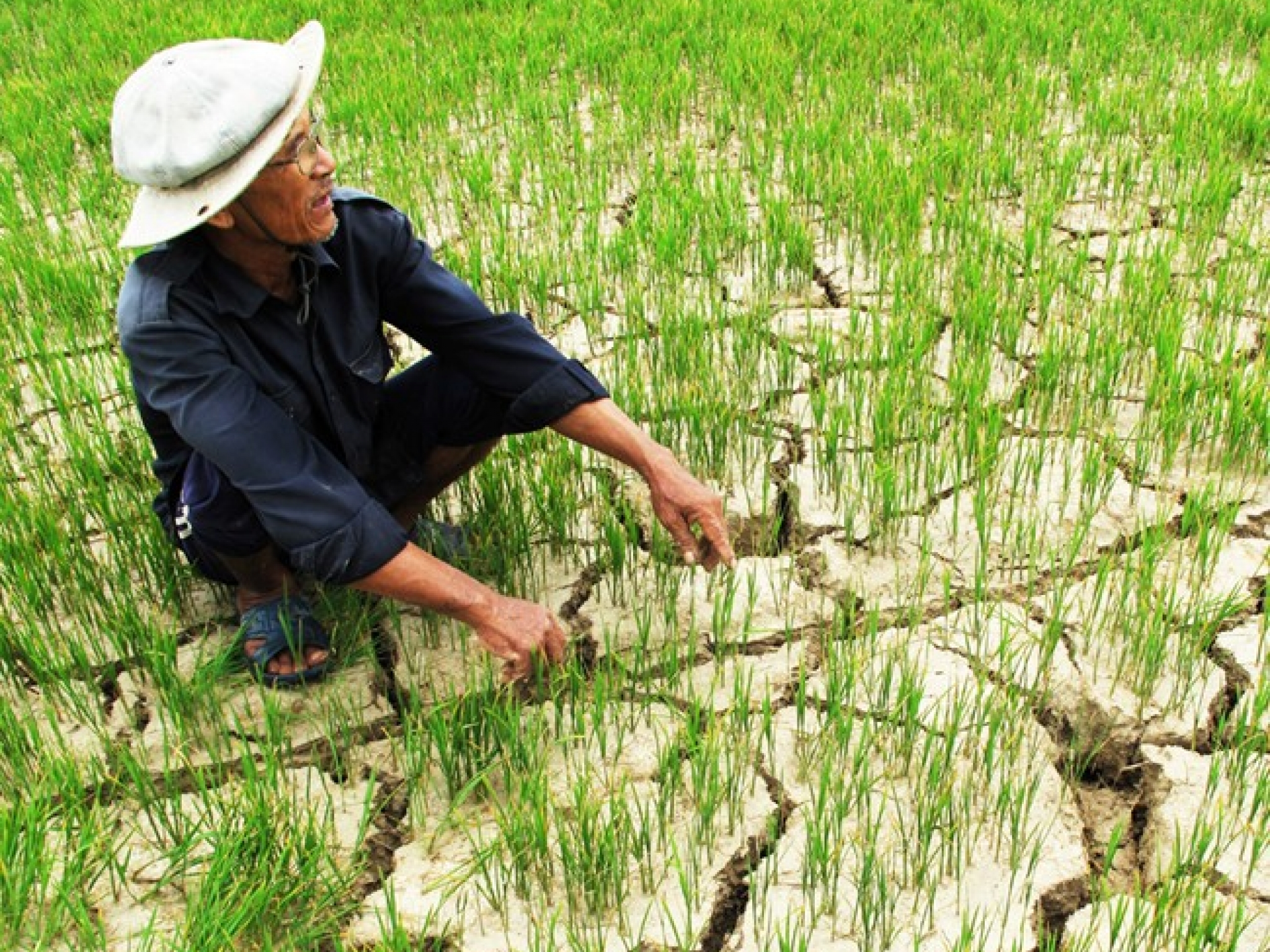 UNICEF hỗ trợ khắc phục hạn hán, xâm nhập mặn