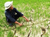 adb cho vay 20 trieu usd ho tro cac doanh nghiep xuat khau