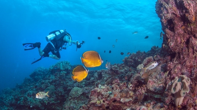 Những mối nguy sinh thái hiện hữu ở Biển Đông