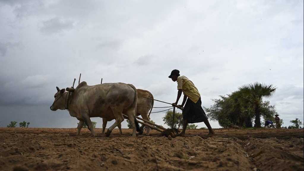 Myanmar: Từ vựa lúa màu mỡ đến những ngôi làng vắng người trẻ tuổi