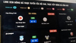 Vi phạm bản quyền - thất thoát hàng trăm triệu USD