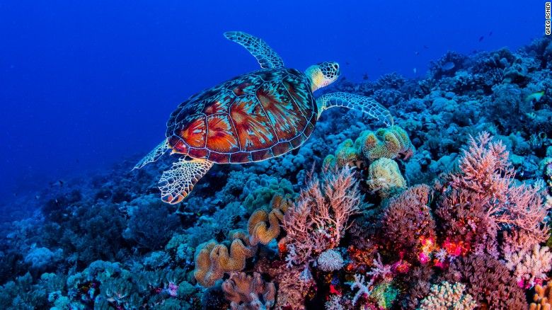 chuyen gia nga nen theo duoi ngoai giao khoa hoc o bien dong