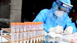 Covid-19 ở Việt Nam tối 19/9: Thêm 10.040 ca mắc mới, có 5.894 trường hợp trong cộng đồng, số ca tại TP. Hồ Chí Minh tăng