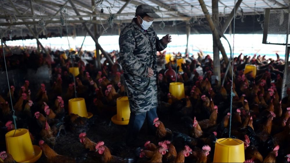 WHO: Tình trạng kháng thuốc kháng sinh nguy hiểm không kém đại dịch Covid-19