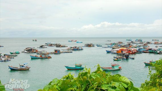Biển đảo Việt Nam: Ngăn chặn khai thác tận diệt nguồn lợi thủy sản tự nhiên