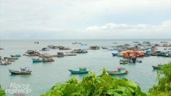 Biển đảo Việt Nam: Ngăn chặn khai thác tận diệt nguồn lợi thủy sản tự nhiên