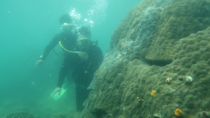 Du lịch xanh - Xu hướng tất yếu