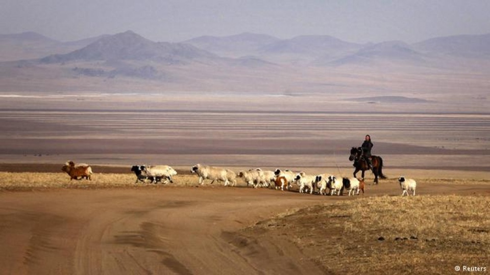 them mot mua dong khac nghiet o mong co