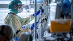 Anh phát hiện biến thể mới thứ hai của virus SARS-CoV-2, khả năng lây nhiễm rất cao