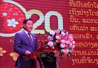 cong dong nguoi viet tai mexico mung xuan canh ty 2020