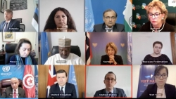 Việt Nam đánh giá cao nỗ lực của các Phái bộ Liên hợp quốc, các tổ chức khu vực và Lực lượng G5 Sahel