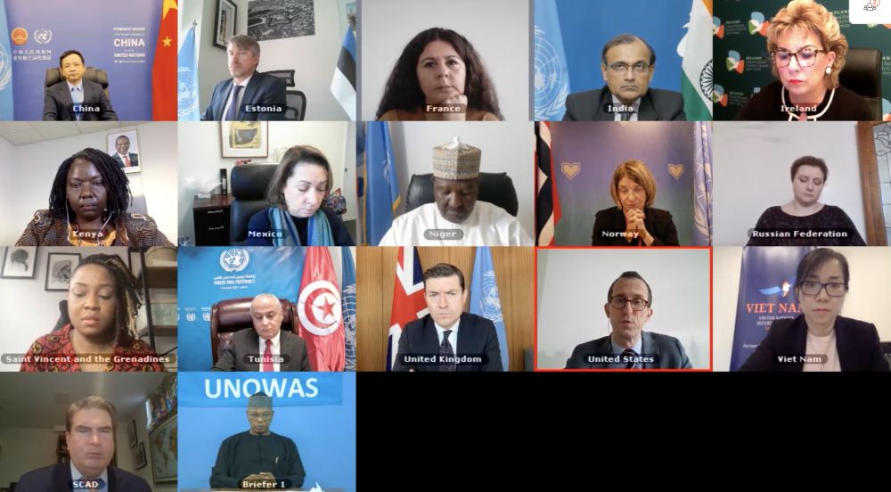 Hội đồng Bảo an Liên hợp quốc (HĐBA LHQ) họp trực tuyến mở về tình hình khu vực Tây Phi và Sahel trong 6 tháng qua. 