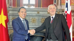 Thúc đẩy quan hệ Đối tác chiến lược Việt Nam-Anh trên nhiều lĩnh vực