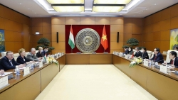 Thúc đẩy quan hệ hợp tác Quốc hội Việt Nam-Hungary đi vào chiều sâu, hiệu quả