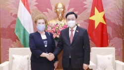 Chủ tịch Quốc hội Vương Đình Huệ tiếp Phó Chủ tịch thứ nhất Quốc hội Hungary
