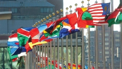 Năm 2021 - Năm không bình thường