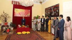 Cộng đồng người Việt Nam tại Áo đón Xuân Nhâm Dần