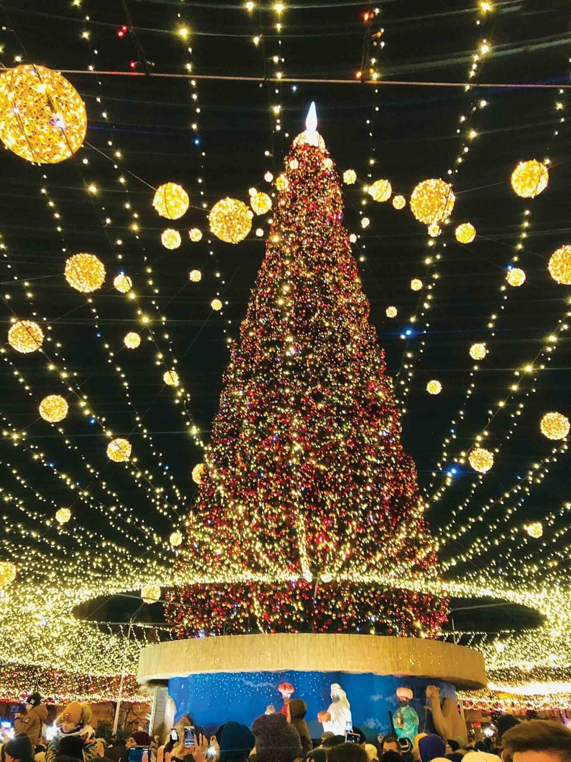 Cây thông năm mới tại Quảng trường Sofia của thủ đô Kiev.