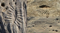 Bí ẩn ở sa mạc Qatar