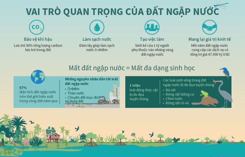 Ngày Đất ngập nước Thế giới: Nâng cao nhận thức về vai trò của các vùng đất ngập nước