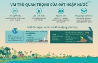 Ngày Đất ngập nước Thế giới: Nâng cao nhận thức về vai trò của các vùng đất ngập nước