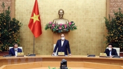 Nhập khẩu, tiếp nhận, phân phối vaccine Covid-19 bảo đảm kịp thời, minh bạch