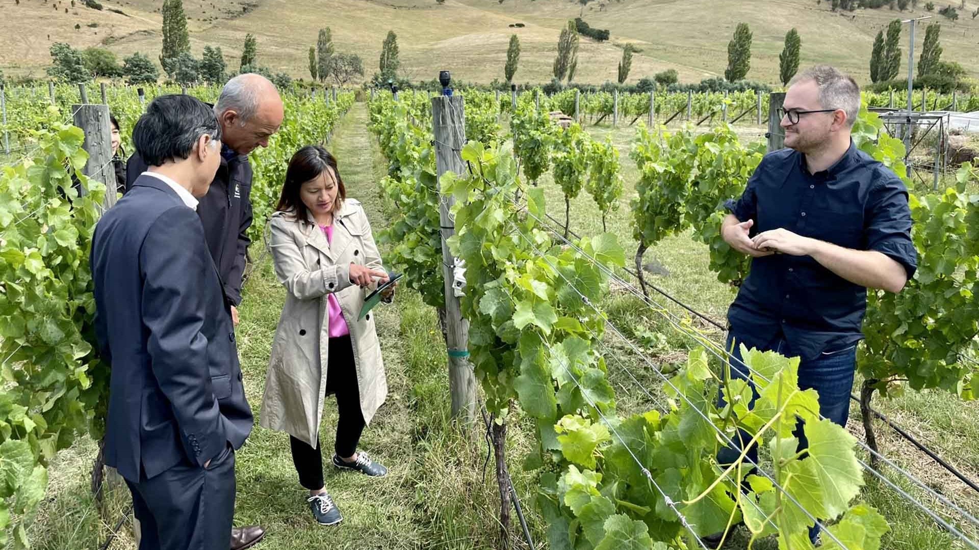 Bang Tasmania sẵn sàng hợp tác toàn diện với Việt Nam