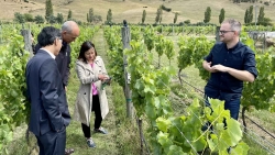 Bang Tasmania sẵn sàng hợp tác toàn diện với Việt Nam