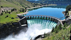 Đập thủy điện và sự sinh tồn của loài cá tuế