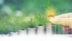 Thúc đẩy vai trò của doanh nghiệp trong cuộc chiến chống biến đổi khí hậu ở Việt Nam