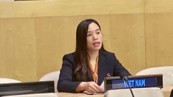 Việt Nam kêu gọi bảo đảm thực thi cam kết về tài chính khí hậu