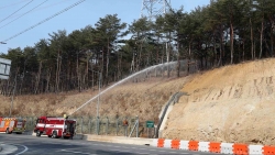 Điện thăm hỏi về một số vụ cháy rừng nghiêm trọng ở Hàn Quốc