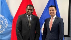 LHQ: Việt Nam cần được ưu tiên hỗ trợ trong việc thực hiện các cam kết tại COP-26