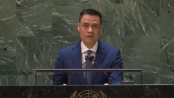 Việt Nam sẵn sàng đóng góp cho các hoạt động cứu trợ nhân đạo của LHQ đối với Ukraine